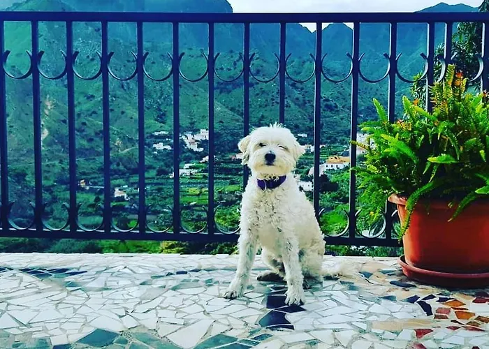 Lomo Grande * Hermigua